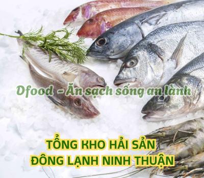 Chuyên sỉ & lẻ hải sản đông lạnh chất lượng tại Ninh Thuận