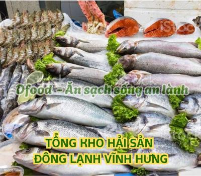 Chuyên sỉ & lẻ hải sản đông lạnh chất lượng tại Vĩnh Hưng