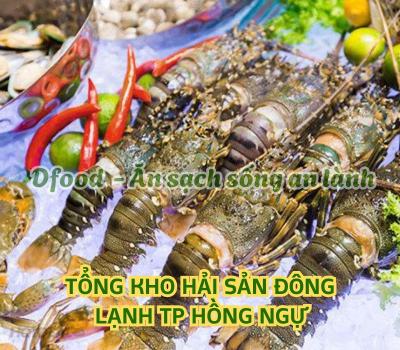 Chuyên sỉ & lẻ hải sản đông lạnh giá tốt tại Hồng Ngự