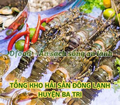 Chuyên sỉ & lẻ hải sản đông lạnh giá tốt tại Huyện Ba Tri