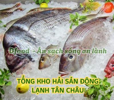 Cửa hàng hải sản đông lạnh giá sỉ tại Tân Châu