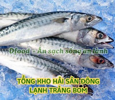 Cửa hàng hải sản đông lạnh giá sỉ tại Trảng Bom