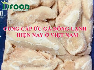 Cung cấp ức gà đông lạnh hiện nay ở Việt Nam
