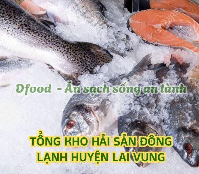 Hải sản đông lạnh giá sỉ tại Huyện Lai Vung