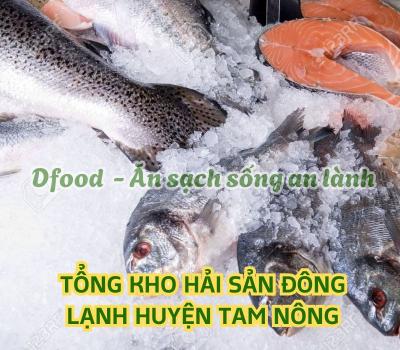 Hải sản đông lạnh giá sỉ tại Huyện Tam Nông