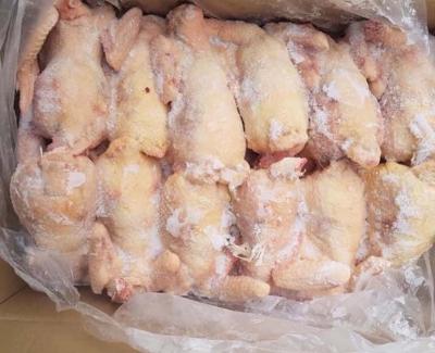 Tổng kho thịt gà đông lạnh An Giang