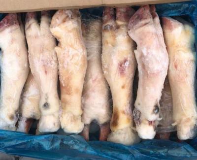 Phân phối sỉ Chân bò đông lạnh Hardwicks nhập khẩu Úc tại nha trang