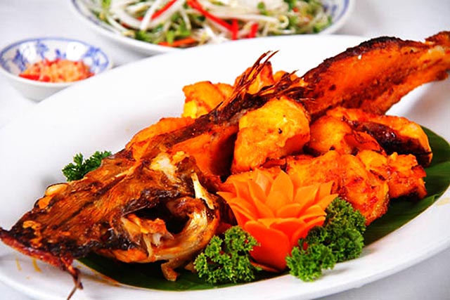 cá tầm cá tầm